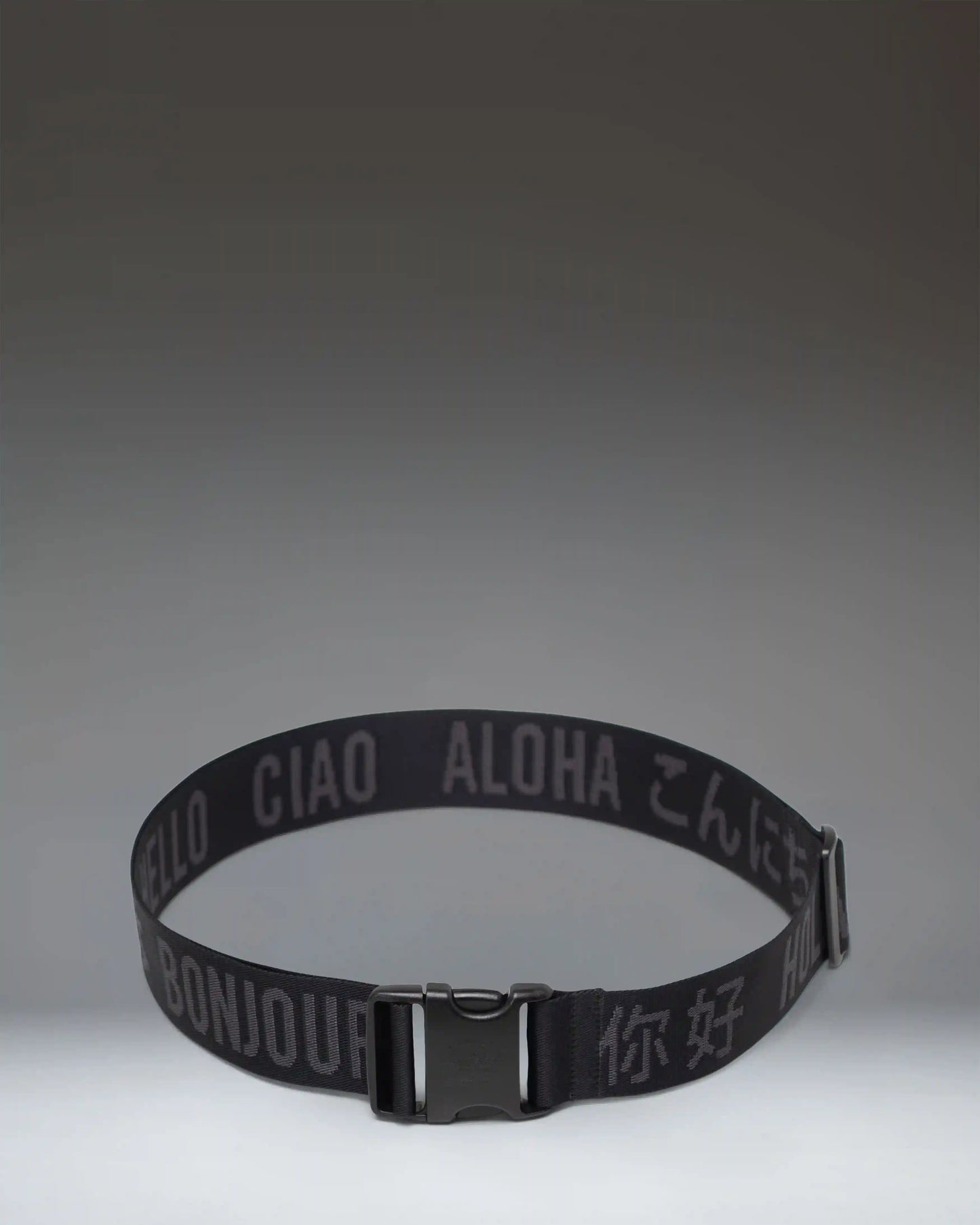 Luggage Belt